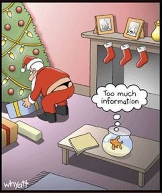 http://i1143.photobucket.com/albums/n627/thedogcody/Funny-Christmas-Cartoons-14.jpg