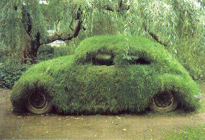http://i1143.photobucket.com/albums/n627/thedogcody/grass-covered-car.jpg