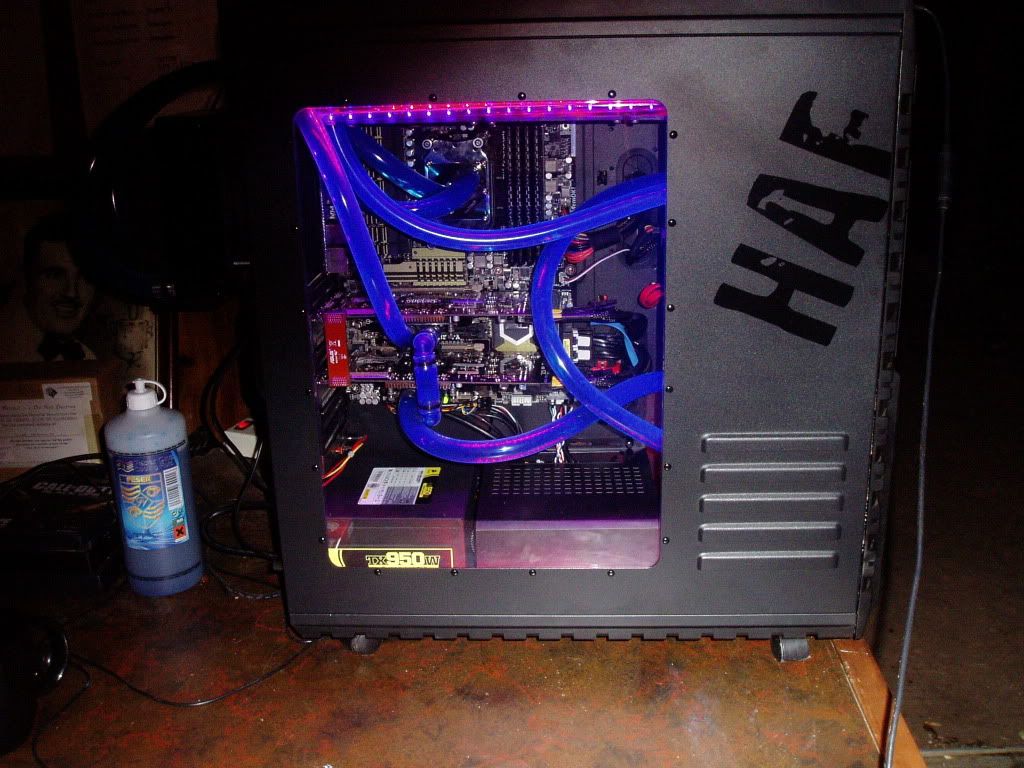 P1010003-4.jpg