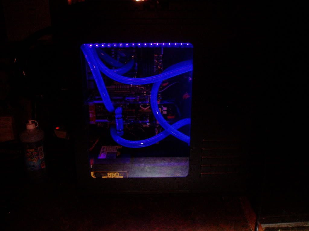 P1010007-2.jpg