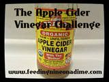 AppleCiderVinegarChallenge