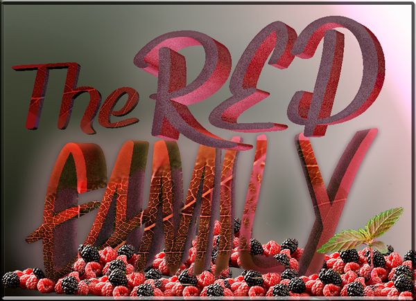 0-Red-Family-logo-propio_zps9d9787a6.jpg