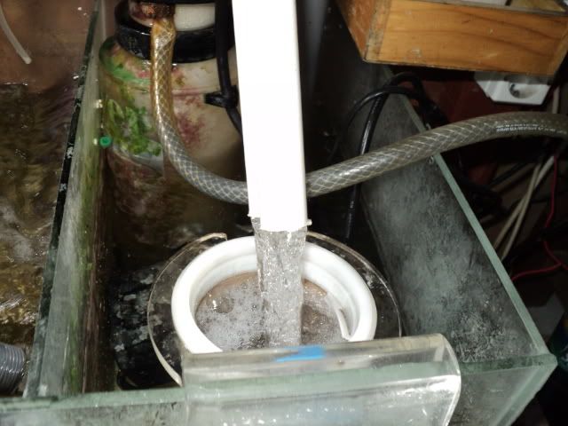 DSC09404.jpg