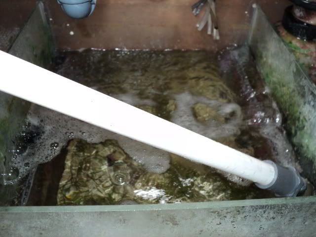 DSC09405.jpg