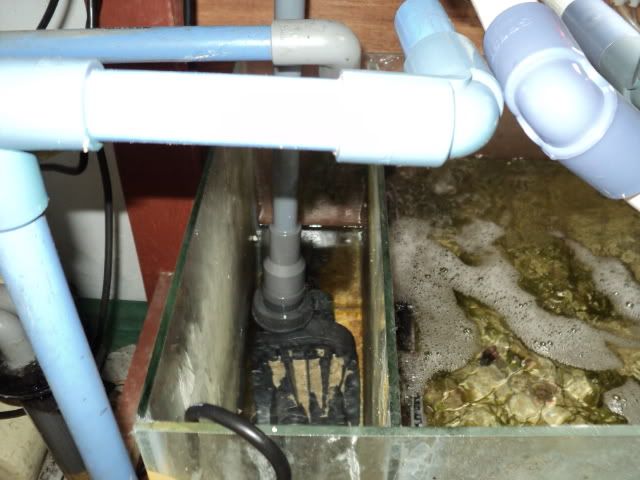 DSC09406.jpg