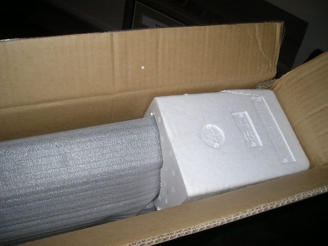 P1010073.jpg
