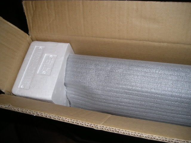 P1010074.jpg