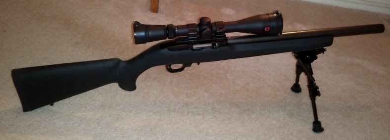 Ruger1022VLEHrtside2.jpg