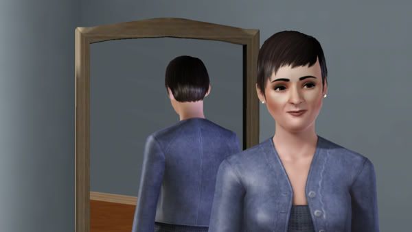 The Sims 3 Awesome Mod Features