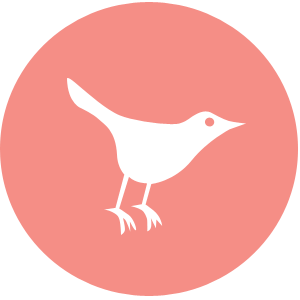 Description of Photo