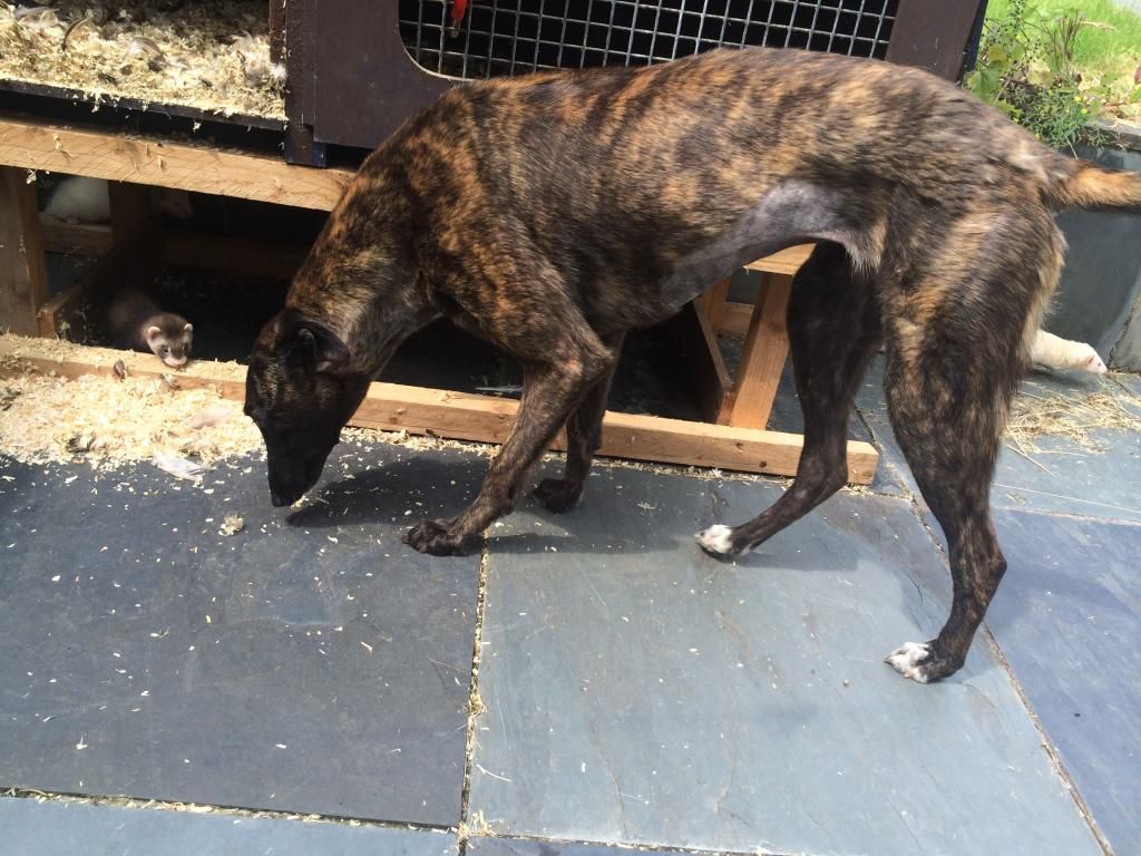 032B3DEE-425B-4EB3-BD84-722C0BDD8037_zps