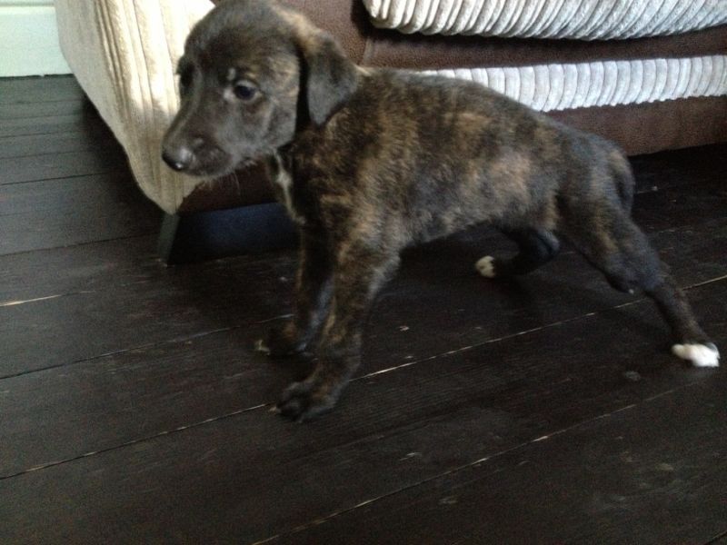 0BACCE54-5F0A-42EB-B1D6-60B30FDF2FEE-367