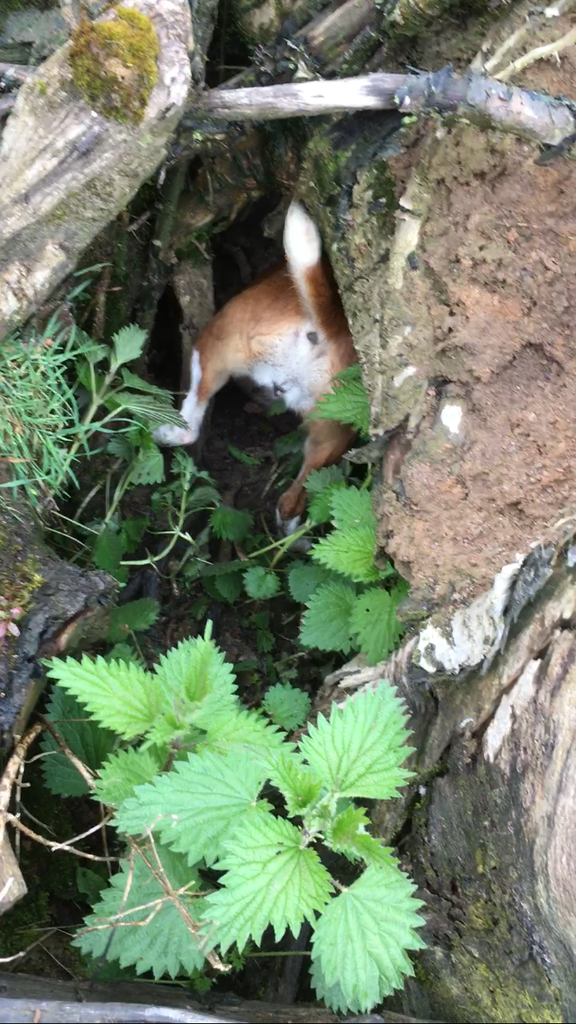 0EB3B0F1-C072-4459-BF27-F7F59D280826_zps