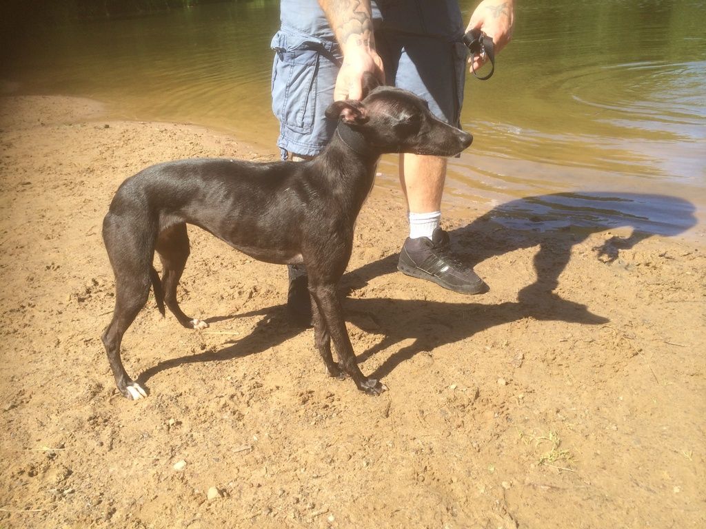 11D64FBB-7310-4D9C-840C-670DCBB7B30B_zps