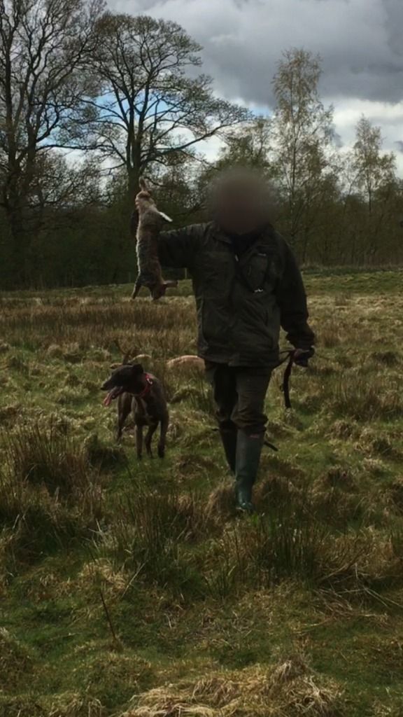 2611BCC3-B295-4227-B963-D18BFC66A132_zps