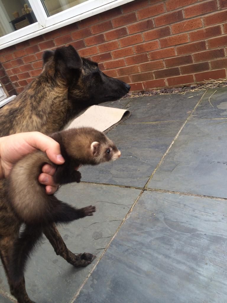 35946F3F-F310-4F71-A244-C530E55A0782_zps