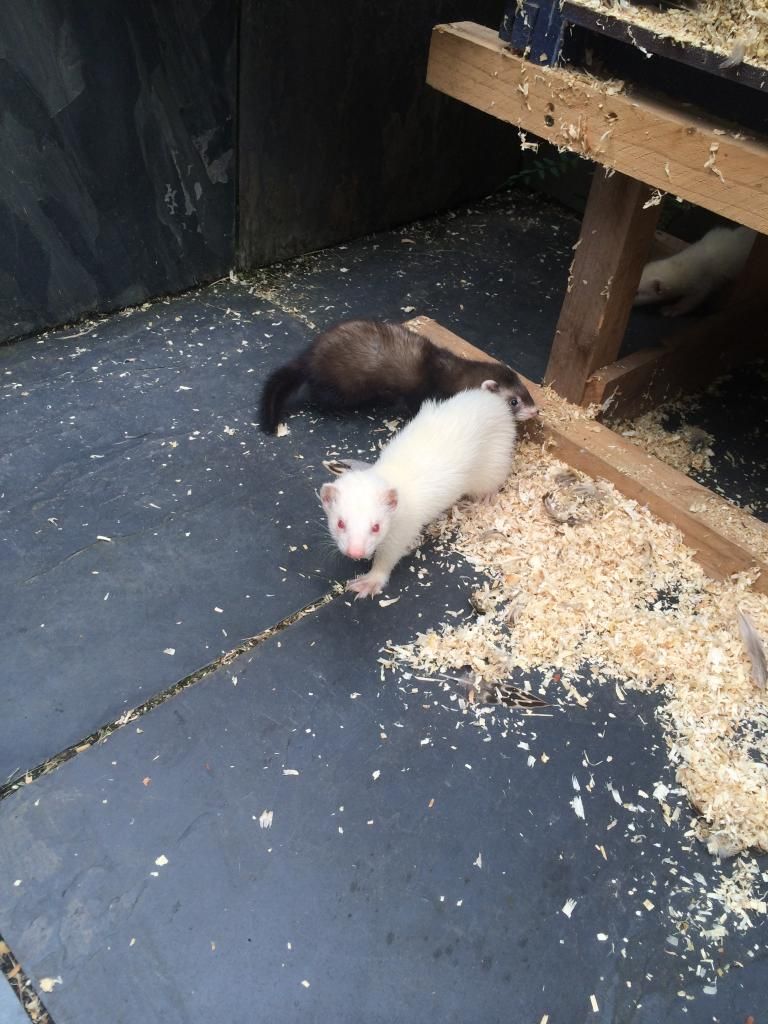 3D6C9AAA-690F-4FE0-BF95-7049A1116069_zps