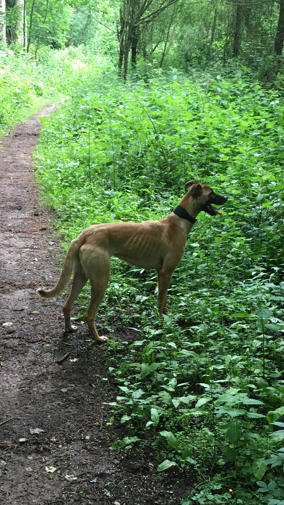 403BC0A7-B9DD-4033-AF5E-C9D7ECD71F29_zps