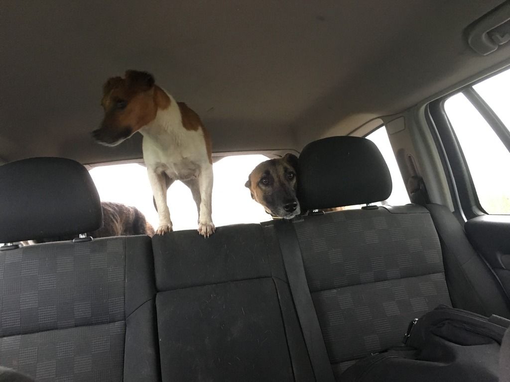 4D5146E5-4FED-41B7-9D92-0E11987DE065_zps