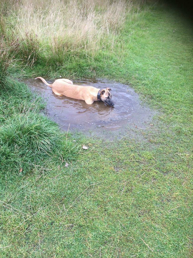 5077C00D-DEA8-4D02-9F0F-BBE2BCA60A4C_zps