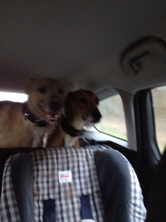 512CFD67-BD12-404E-87AF-CEF43EA07FE4-473