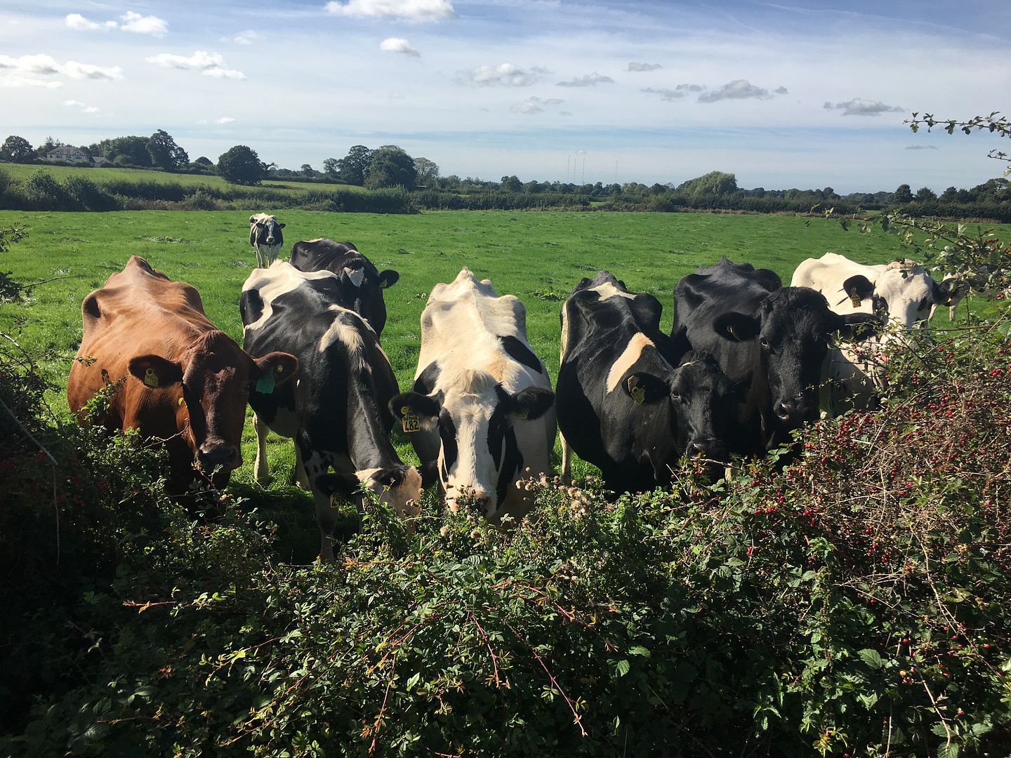 5239DC54-D914-4A6E-AE3F-F67DA8E2EA3D_zps