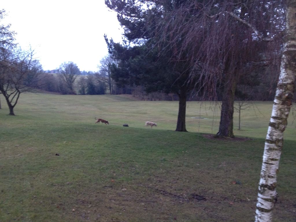 535866BA-326B-48BC-9880-6C20867C2072-473