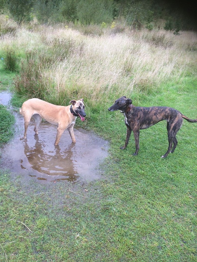 5789DC04-6E34-4028-8CAD-211730A9B626_zps