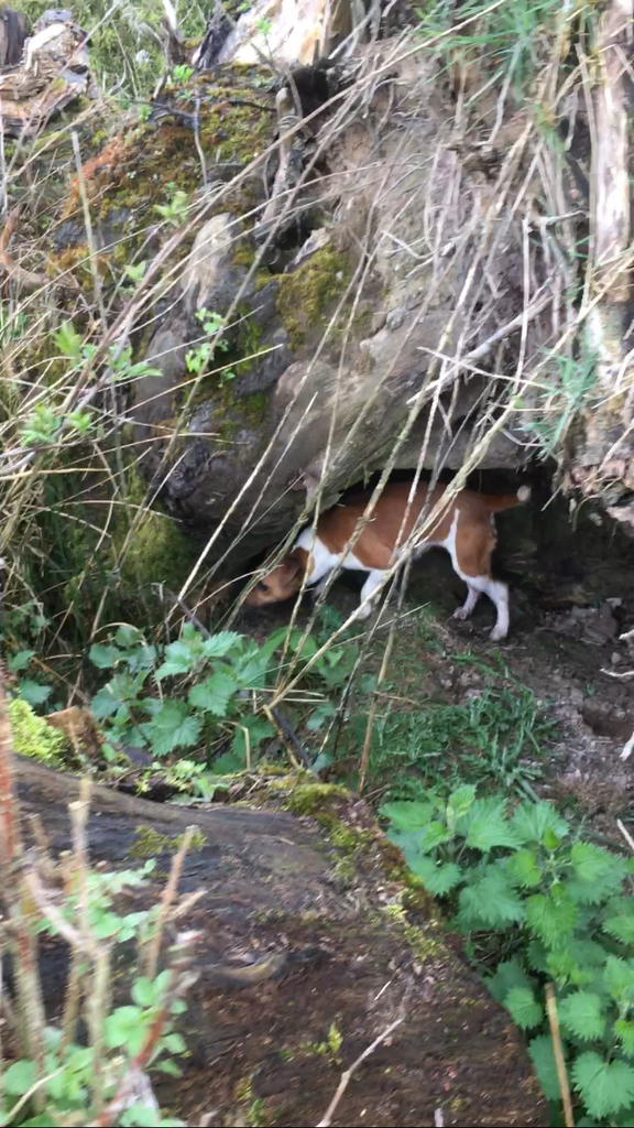 5AB64E87-FE09-4177-B6E1-95D42E9DB911_zps