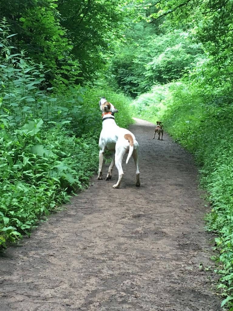 65B062B0-83B8-4FF1-9AA4-C0CC6A9ED4E9_zps