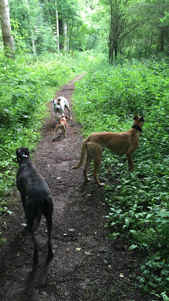 6C1C612D-B321-461E-9481-6C560DCCC05B_zps