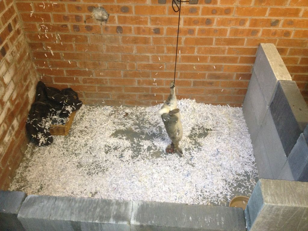 7066F936-3B06-4D9C-9223-2C0E4AC808F8-123