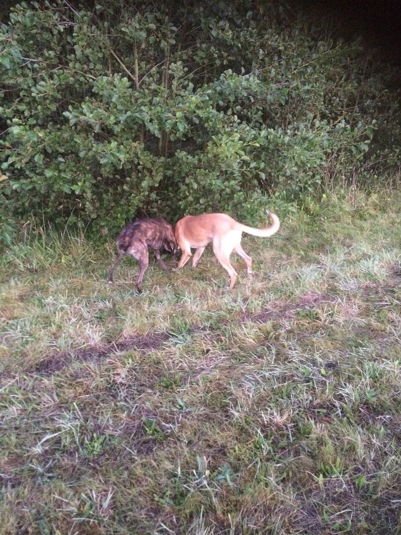 7FD3F6D3-23E2-4166-AEBF-8BBA12CB36F3_zps