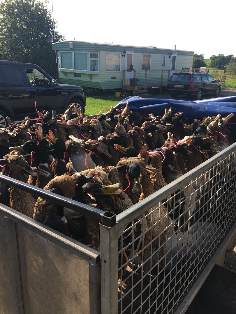 80BBBFF0-A92C-401E-B98D-E4E8DAF5421B_zps