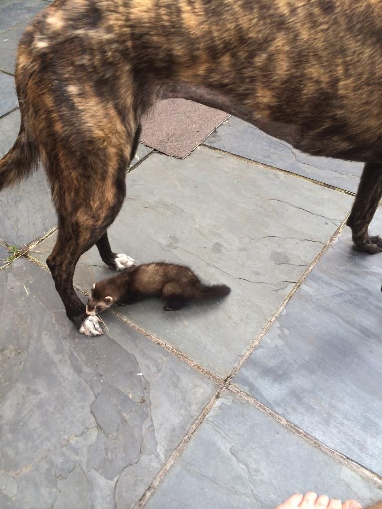 88A9205C-7C2E-4414-9097-819C175A09C5_zps