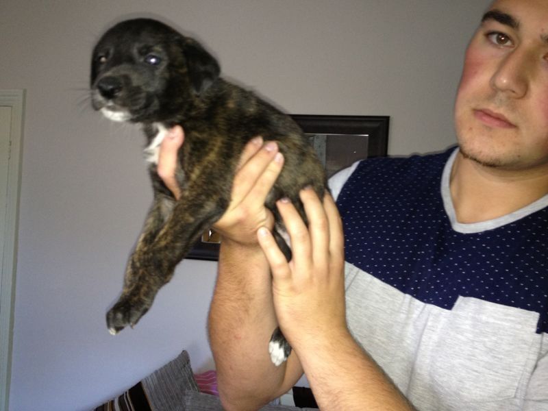 8CEAB3B2-3F99-454B-95CE-FE4D4AA061AF-367