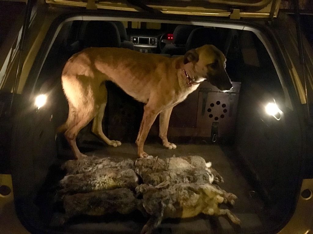 8DD9E0BE-C7BF-49AF-8822-64D6580D1DEB_zps