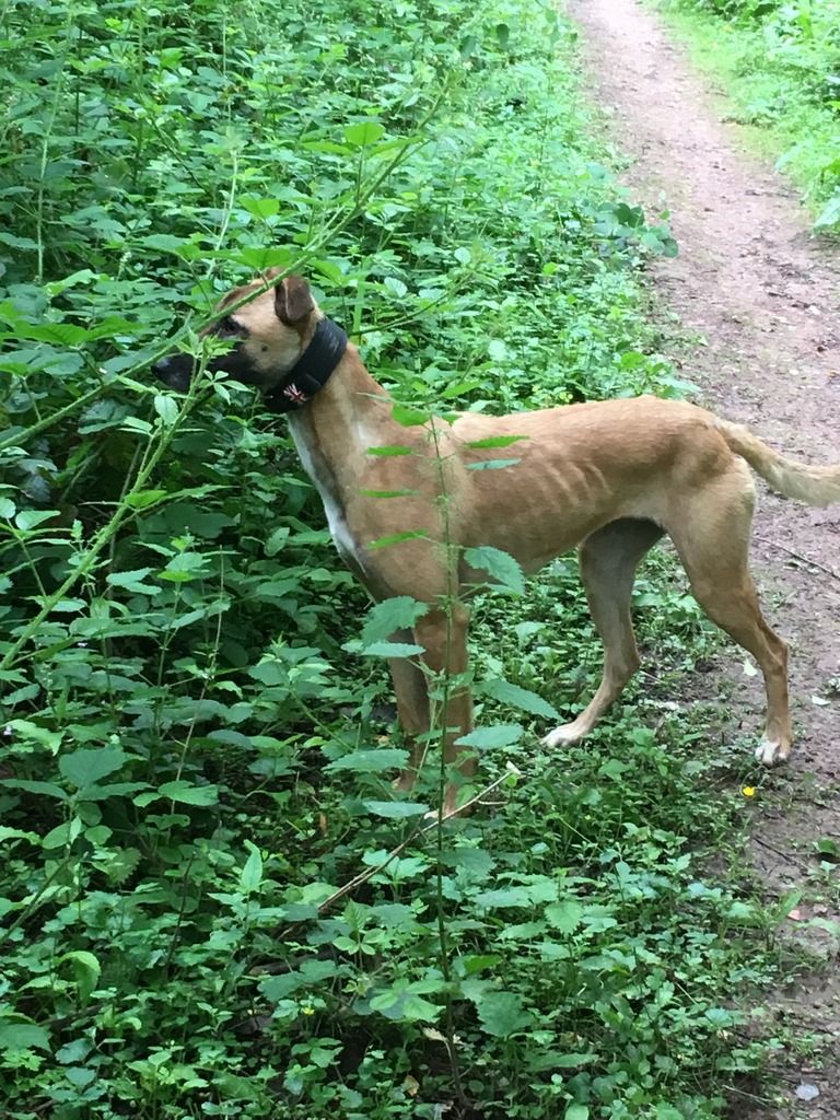 AECBC07E-4C84-4EAC-B71F-000C6F093BB9_zps