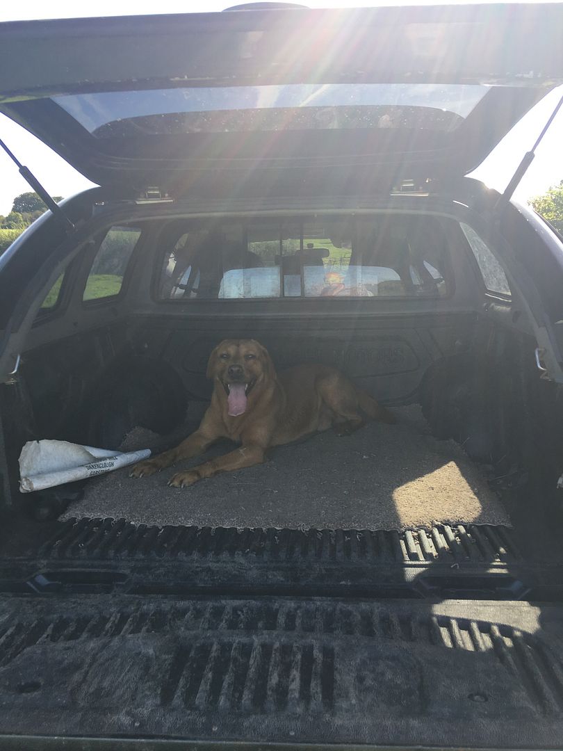 B30E9CFC-D0C8-4C36-871F-EC1D60E7010D_zps