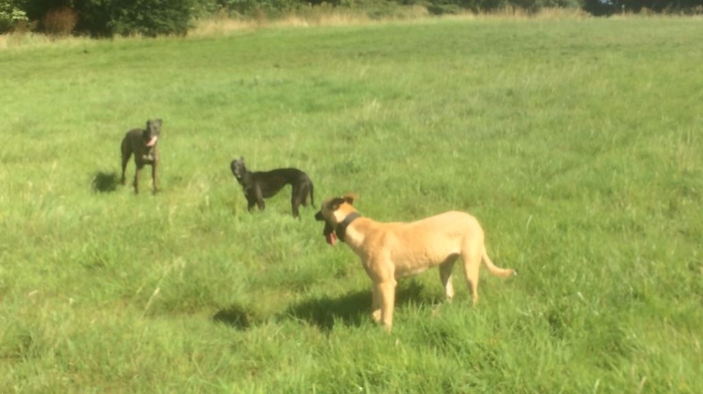 B3D0552A-3857-48A8-8E2C-B08FF58FA30F_zps