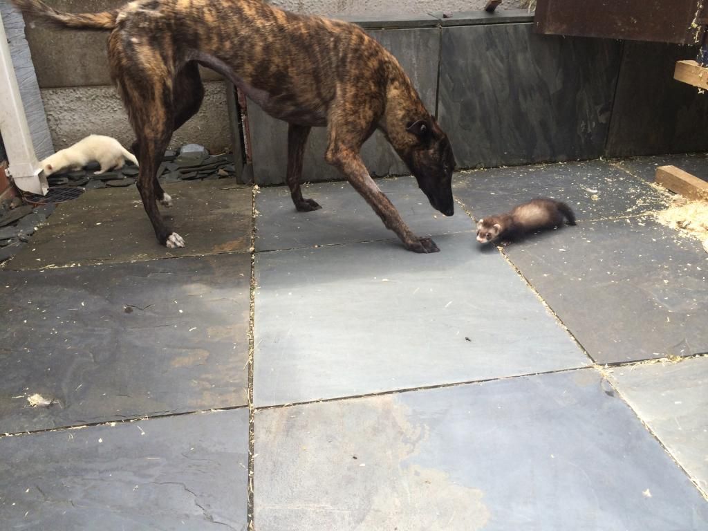 B77B6A30-9B50-4C3A-AEE6-42CDBE9B87A3_zps