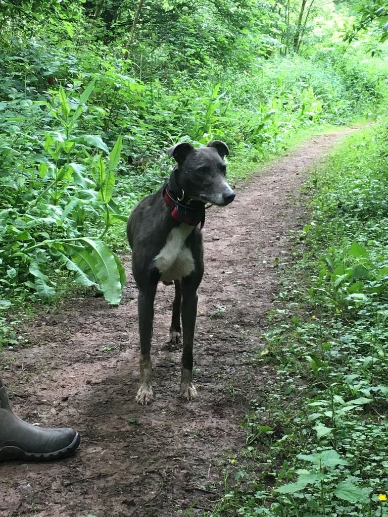 C9692C7E-FB7E-4DCE-8EB3-D6F66A5E352E_zps