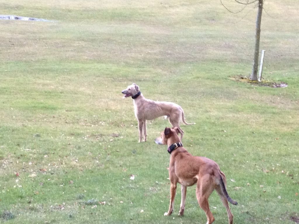 CEB8DF9C-C582-449A-AC94-5BD48E25D453-473