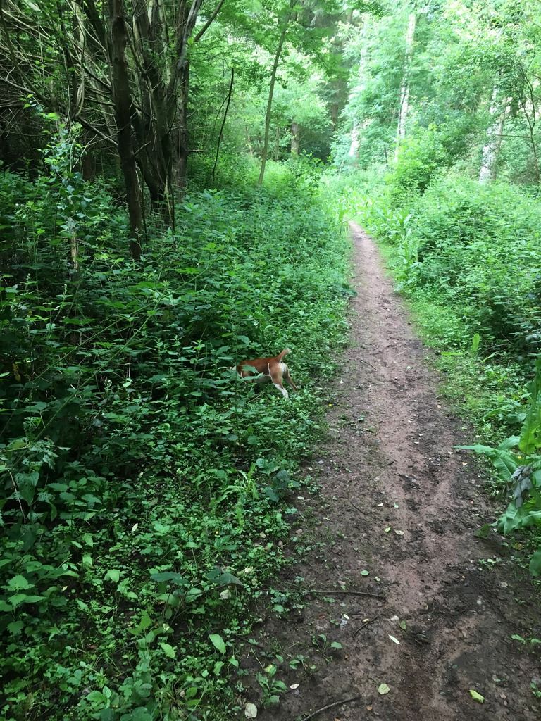 CFCEB1CB-CBCB-42BA-B461-54DC0B1B4C9D_zps