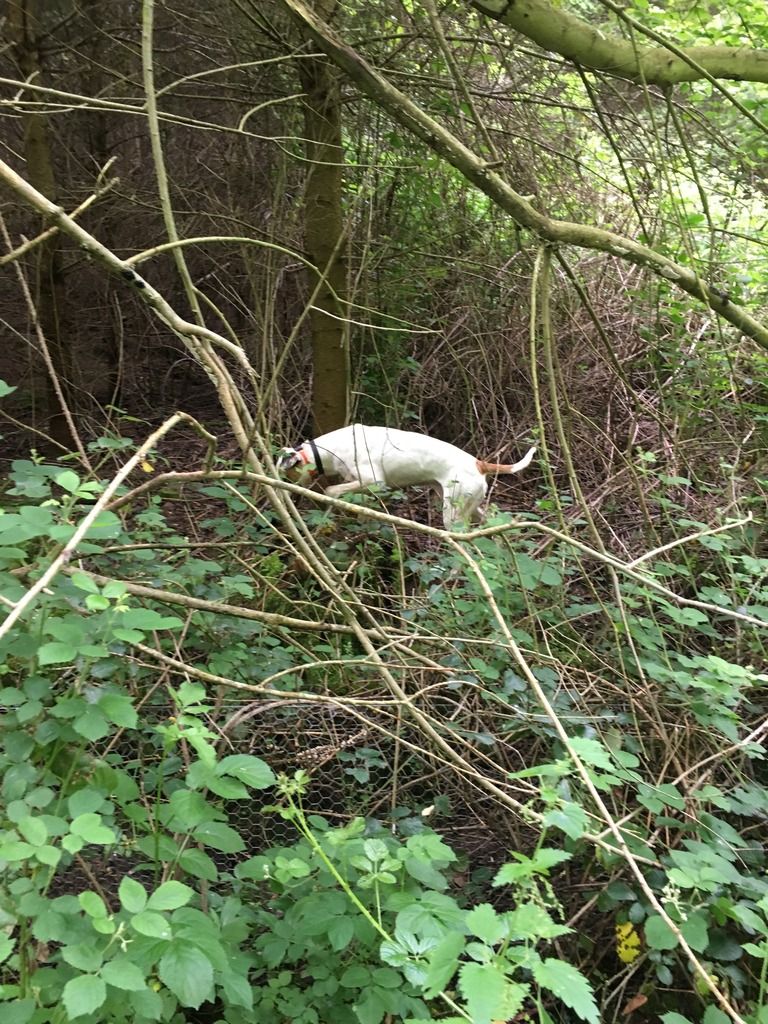 D6600674-1821-47F8-A1D9-B89A28552DE8_zps