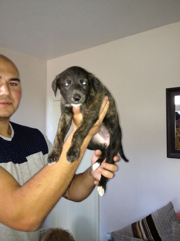 D68C8398-1465-4B18-81B7-8C0899A5DC66-367