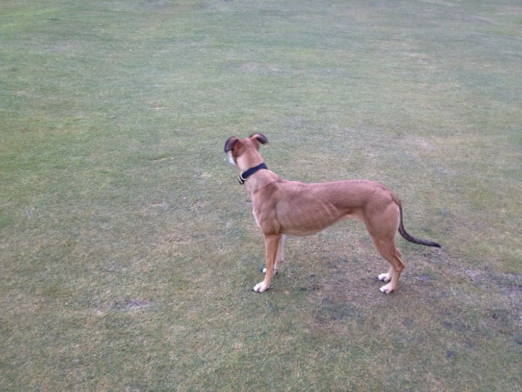 D7A9037B-87AD-406D-9CC6-293B262080FA-473