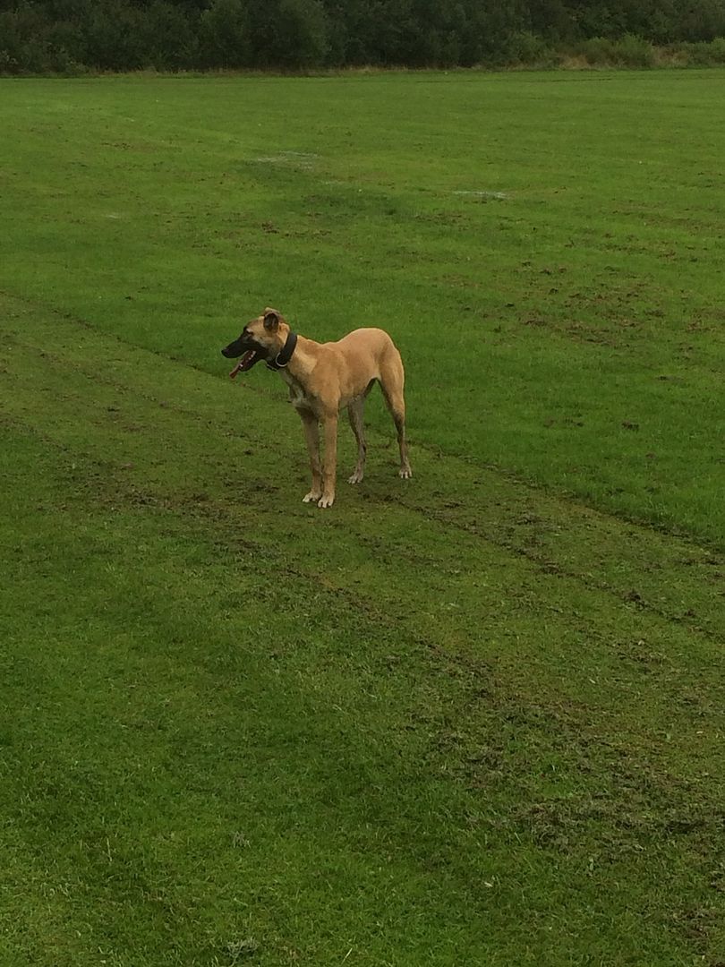 D8D56B35-A08B-4855-A31E-EA96DCB7979E_zps