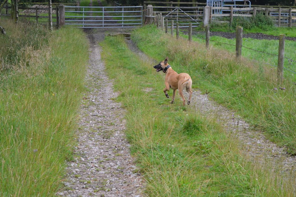 DSC_0024_zps4hblhdym.jpg