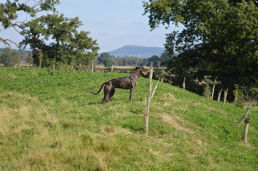 DSC_0041_zpswzcwzjwm.jpg